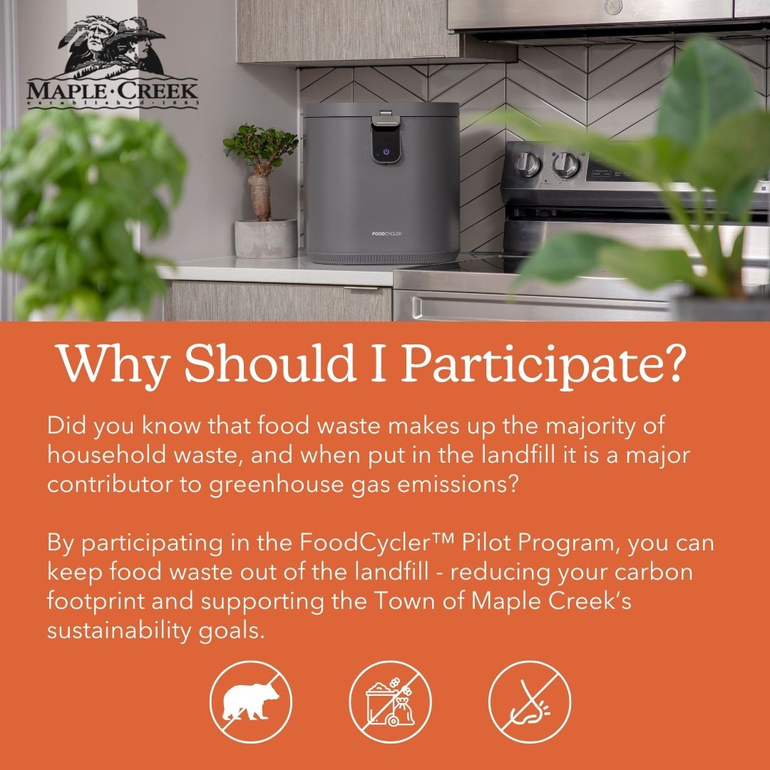Why Participate